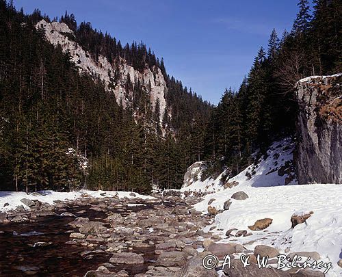 Tatry Dolina i potok Kościeliski