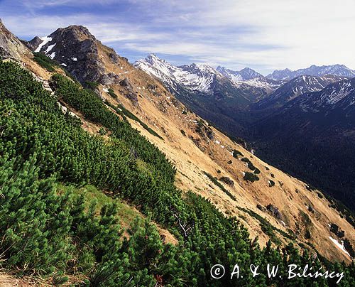 Tatry Widok spod Suchych Czub