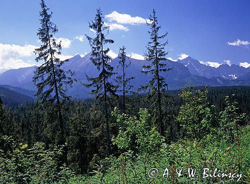 Tatry