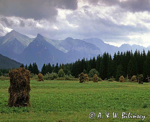 Panorama Tatr z Jurgowa