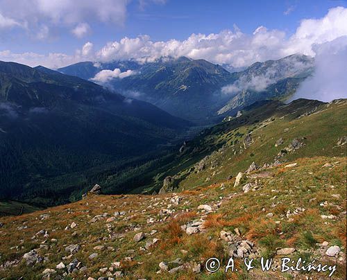 Tatry Dolina Cicha, widok spod Kasprowego na Tomanową