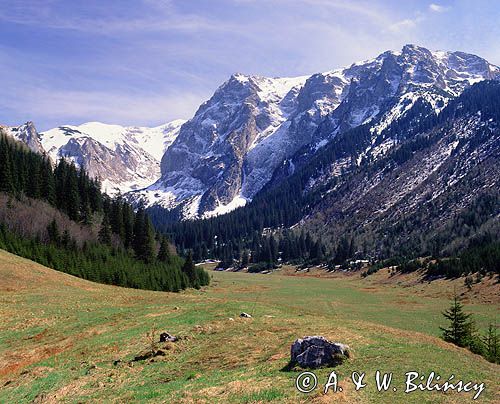 Tatry Dolina Małej Łąki wiosną