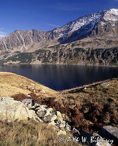 Dolina pięciu Stawów Polskich, Tatry