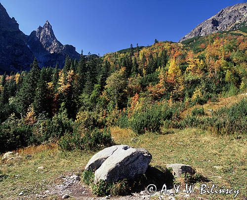 Tatry Hala Morskiego Oka i Mnich