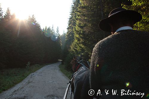 Tatry w drodze na Polanę Chochołowską Dolina Chochołowska