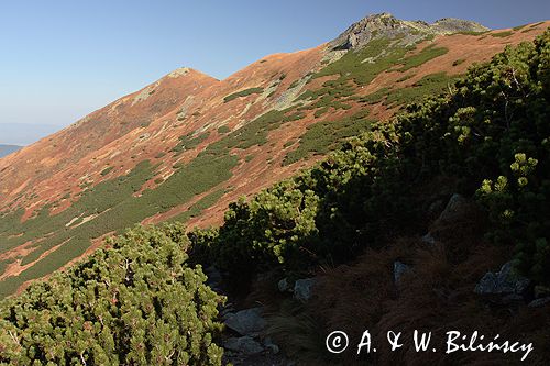 Tatry jesień Ornak
