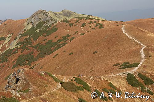 Tatry Ornak
