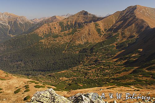 Tatry Dolina Pyszniańska