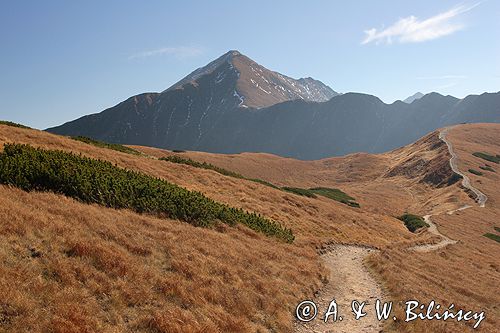 Tatry na Ornaku widok na Błyszcz i Bystrą