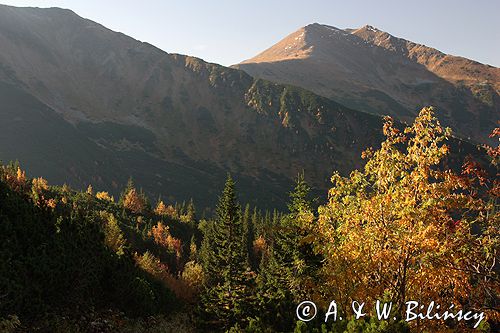 Tatry widok z Hali Tomanowej