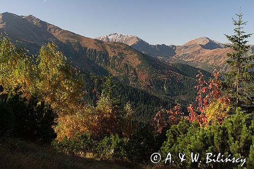 Tatry widok z Hali Tomanowej