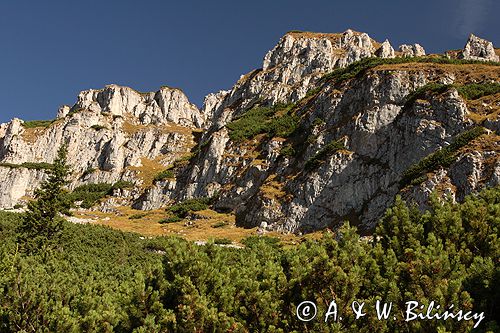 Tatry skały pod Ciemniakiem