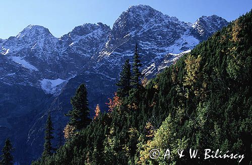 Tatry, Mięguszowiecki Szczyt