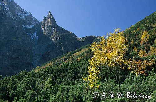 TPN Mnich, Tatry