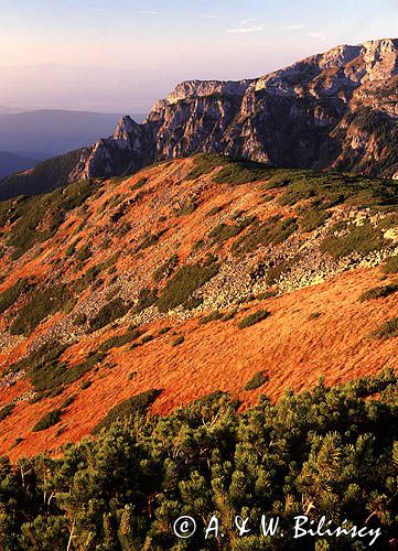 Tatry, na stoku Ornaku, Tatry Zachodnie