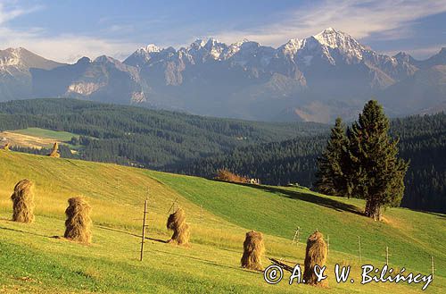 Tatry i Podhale, panorama z Gliczarowa, Nowy Wierch, Murań, Jagnięcy Szczyt, Kieżmarski Szczyt, Kołowy Szczyt, Łomnica, Durny Szcyt, Baranie Rogi, Śnieżny Szczyt, Lodowy Szczyt, Kopa Lodowa, Ostry Szczyt, kopki siana