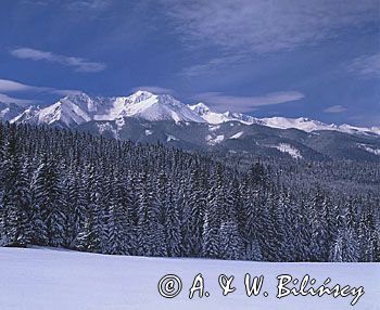 Tatry panorama widok z Głodówki