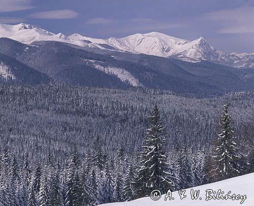 Tatry, Panorama z Głodówki