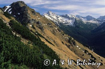 Tatry Suche Czuby, w dali Świnica