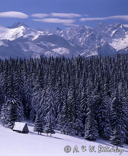 Panorama, Tatry z Głodówki