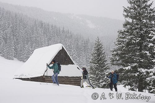 przy szałasie na Rusinowej Polanie, Tatry