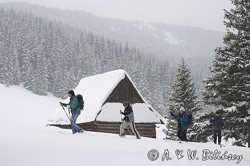 przy szałasie na Rusinowej Polanie, Tatry