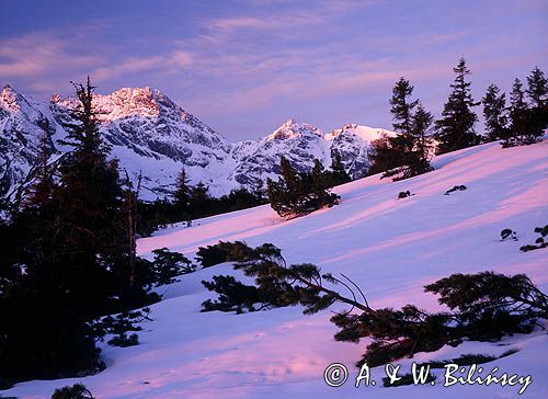 świt na Królowej Rówień, Tatry, Tatrzański Park Narodowy