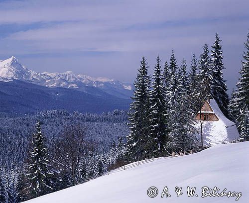 Tatry panorama z Głodówki zimą