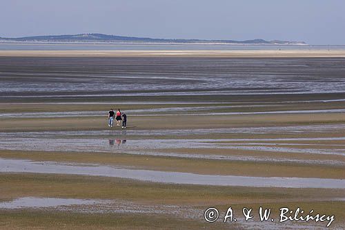 Odpływ na Waddenzee. Ebb on Wadden Sea