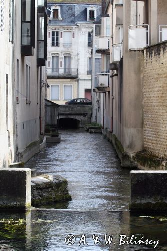 strimień przy Fosse dionne, Tonnerre, Burgundia, Francja