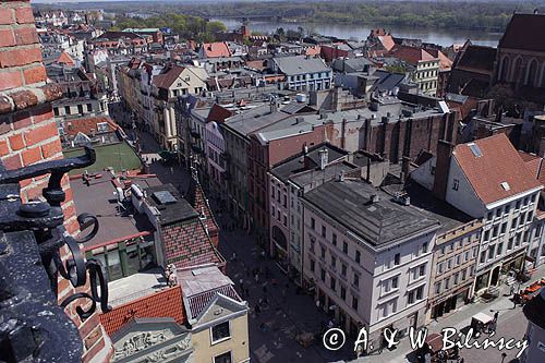 Toruń, Starówka, panorama