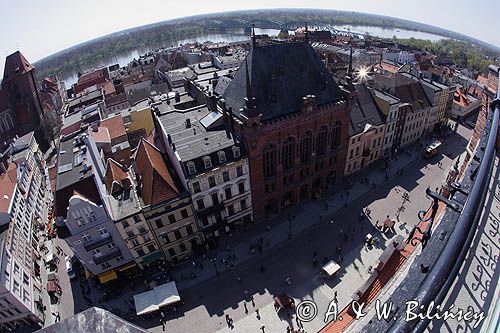 Toruń, Starówka, panorama