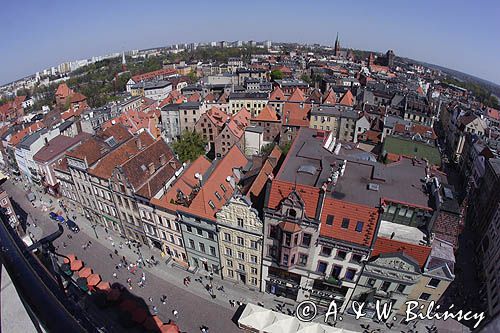 Toruń, Starówka, panorama