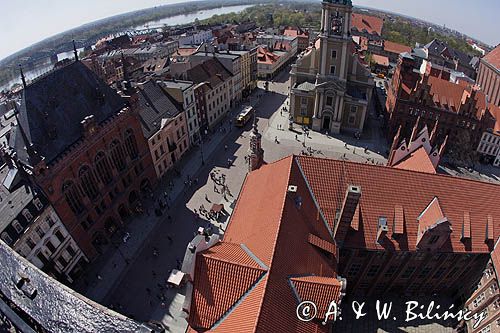 Toruń, Starówka, panorama