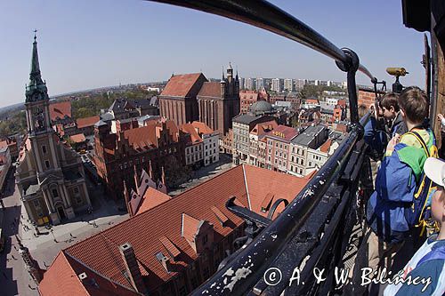 Toruń, Starówka, panorama