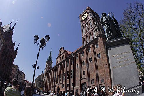 Toruń, Starówka, ratusz
