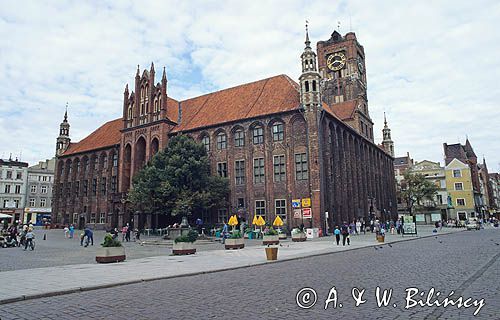 Toruń ratusz