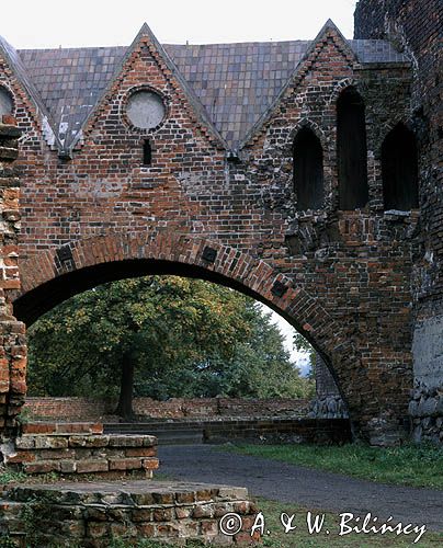 Toruń ruiny zamku krzyżackiego