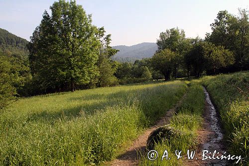 tereny opuszczonej wsi Tworylne, Park Karjobrazowy Doliny Sanu, Bieszczady