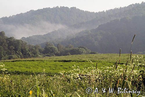 tereny opuszczonej wsi Tworylne, Park Karjobrazowy Doliny Sanu, Bieszczady