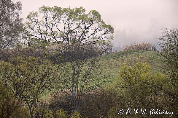 Bieszczady, Dolina Sanu, Park Krajobrazowy Doliny Sanu,Tworylne