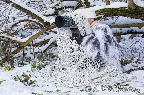 Fotograf przyrody, maskowanie, Canon 400 mm, Uniqball UBH45XC plus X-Cross Clamp, głowica do statywu fotograficznego
