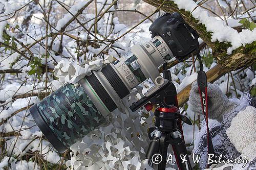 Fotograf przyrody, maskowanie, canon 400 mm, Uniqball UBH45XC plus X-Cross Clamp, głowica do statywu fotograficznego
