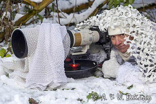 Fotograf przyrody, maskowanie, canon 500 mm, Uniqball UBH45XC plus X-Cross Clamp, głowica do statywu fotograficznego