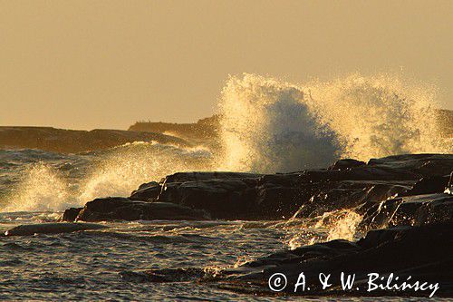 Ursholmen, Kosterhavet Park Narodowy, Szwecja Zachodnia, Skagerrak, Västra Götaland