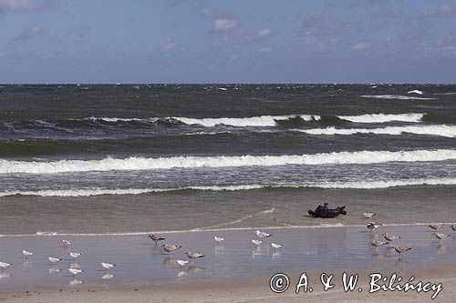 Ustka plaża
