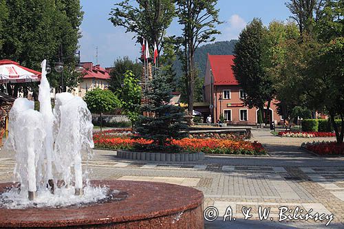 Ustrzyki Dolne, Rynek, fontanna na Rynku