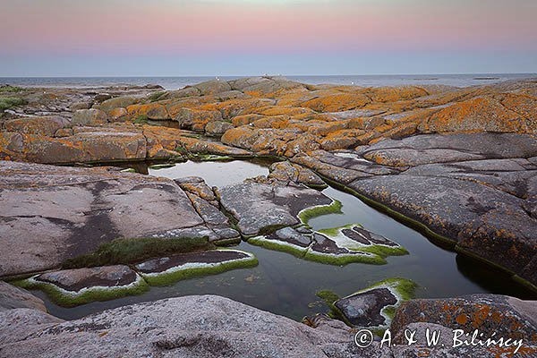 Skały, porosty i glony na wyspie Utklippan, Blekinge, Szwecja
