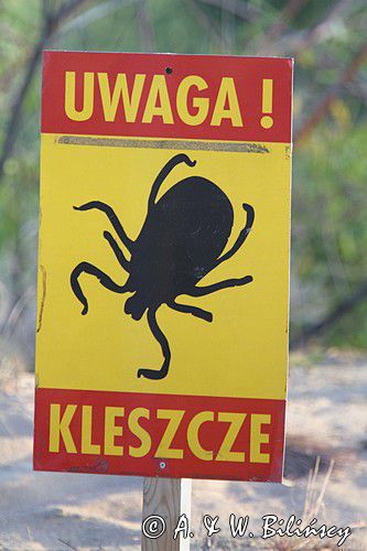 znak ostrzegawczy Uwaga kleszcze!