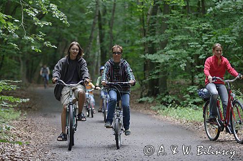 rowerzyści na szlaku rowerowym na wyspie Uznam, Niemcy